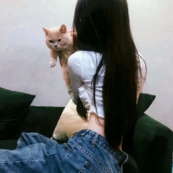奋斗粤语