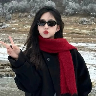 叶问4:完结篇
